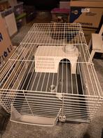 Knaagdieren kooi, Dieren en Toebehoren, Knaagdieren en Konijnen | Hokken en Kooien, Kooi, Gebruikt, Cavia, 75 tot 110 cm