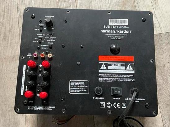Harman Kardon subwoofer unit ts11 gereviseerd gemodificeerd, Audio, Tv en Foto, Luidsprekers, Zo goed als nieuw, Subwoofer, 120 watt of meer