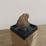 Al Haggounia 001 Meteoriet - 30 gram - met certificaat, Ophalen of Verzenden, Mineraal