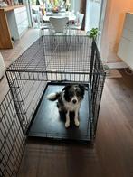 Honden bench XL, Dieren en Toebehoren, Hondenbenches, Ophalen, Zo goed als nieuw
