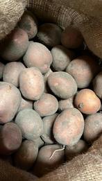 Te koop bilstar aardappel, Ophalen