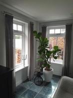 Vitrage 4 maal ramen 2 maal tuindeuren, Huis en Inrichting, Ophalen of Verzenden, Zo goed als nieuw, 200 cm of meer, 200 cm of meer