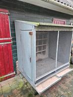 Ren, Dieren en Toebehoren, Vogels | Duiven, Meerdere dieren, Postduif