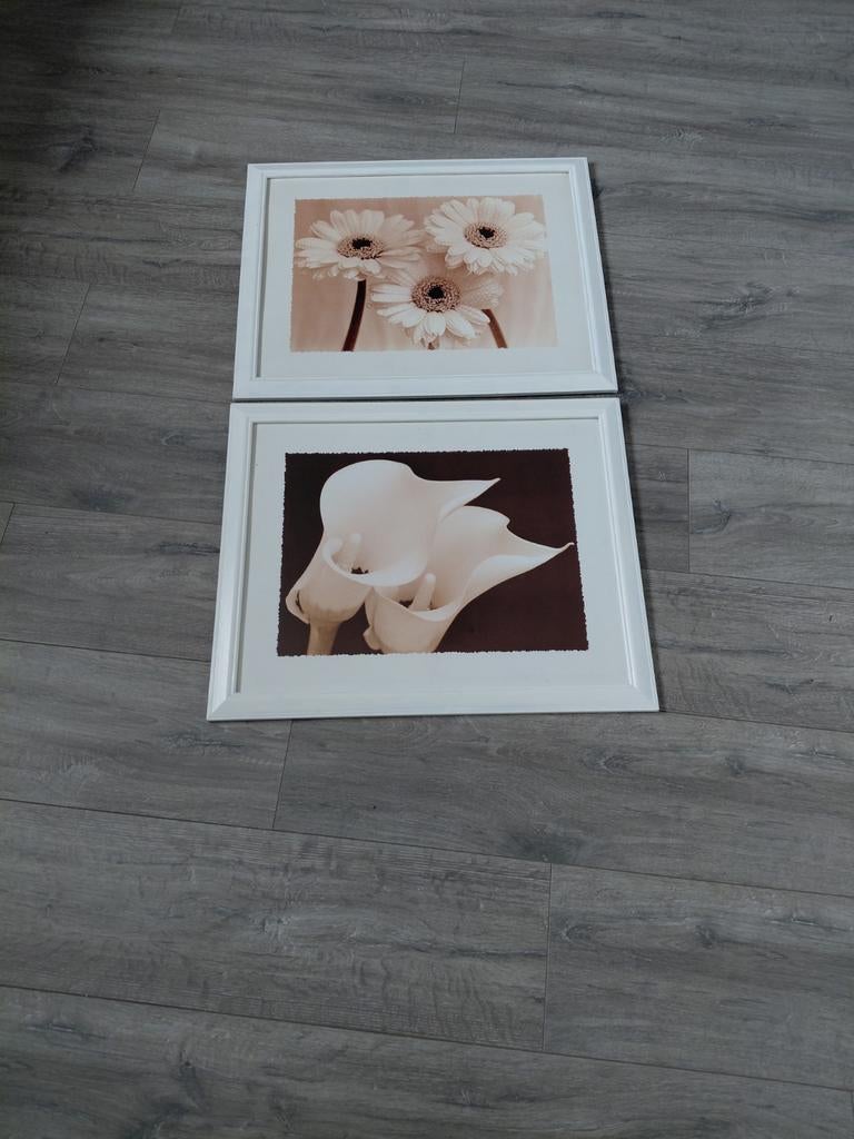 Te koop 2 schilderijen fotolijsten, Huis en Inrichting, Woonaccessoires | Lijsten, Ophalen, Zo goed als nieuw, Minder dan 50 cm