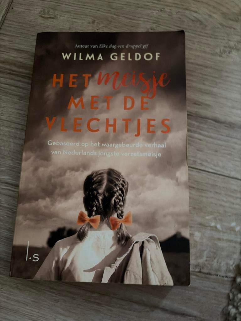 Het meisje met de vlechtjes - Wilma Geldof (Jeugdroman), Ophalen of Verzenden, Gelezen, Fictie