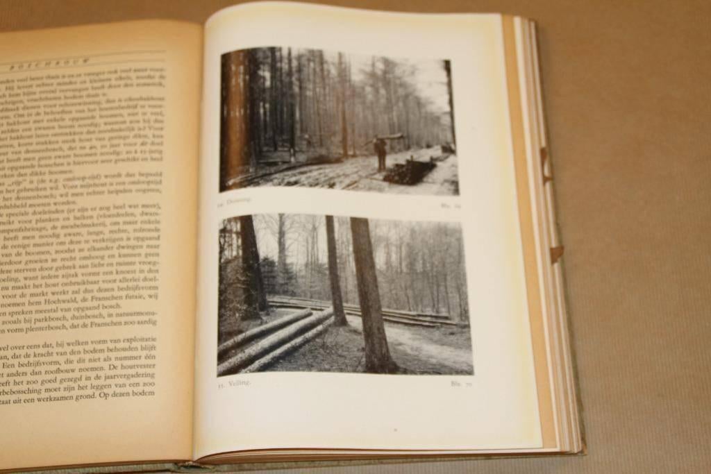 Boomenspiegel voor den wandelaar - Leclercq & Thijsse 1944, Ophalen of Verzenden, Gelezen, Watersport en Hengelsport