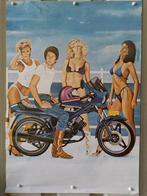 Originele 1980 vintage Honda MB5 MB50 MT50 MT5 poster, Fietsen en Brommers, Ophalen of Verzenden, Zo goed als nieuw, MB, 50 cc