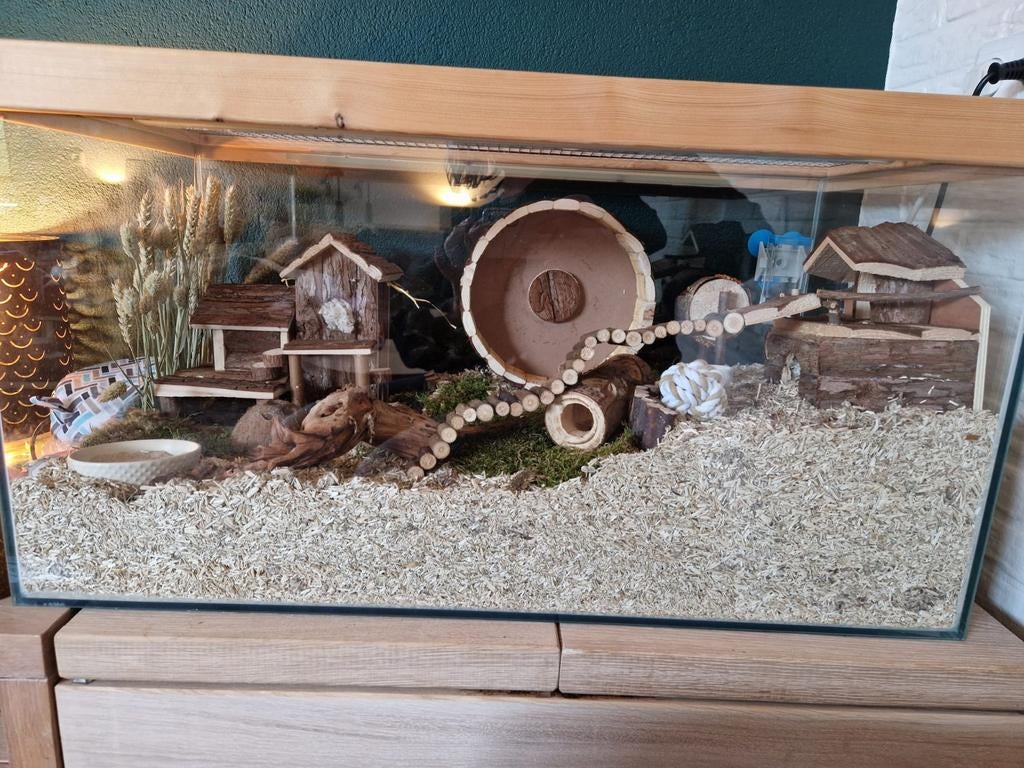 Hamsterkooi, Dieren en Toebehoren, Kooi, Gebruikt, Hamster, 75 tot 110 cm