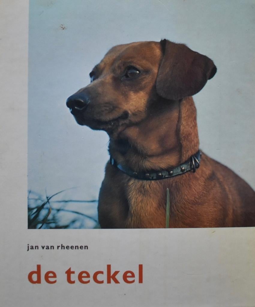 Jan van Rheenen: De Teckel, Ophalen of Verzenden, Gelezen, Honden