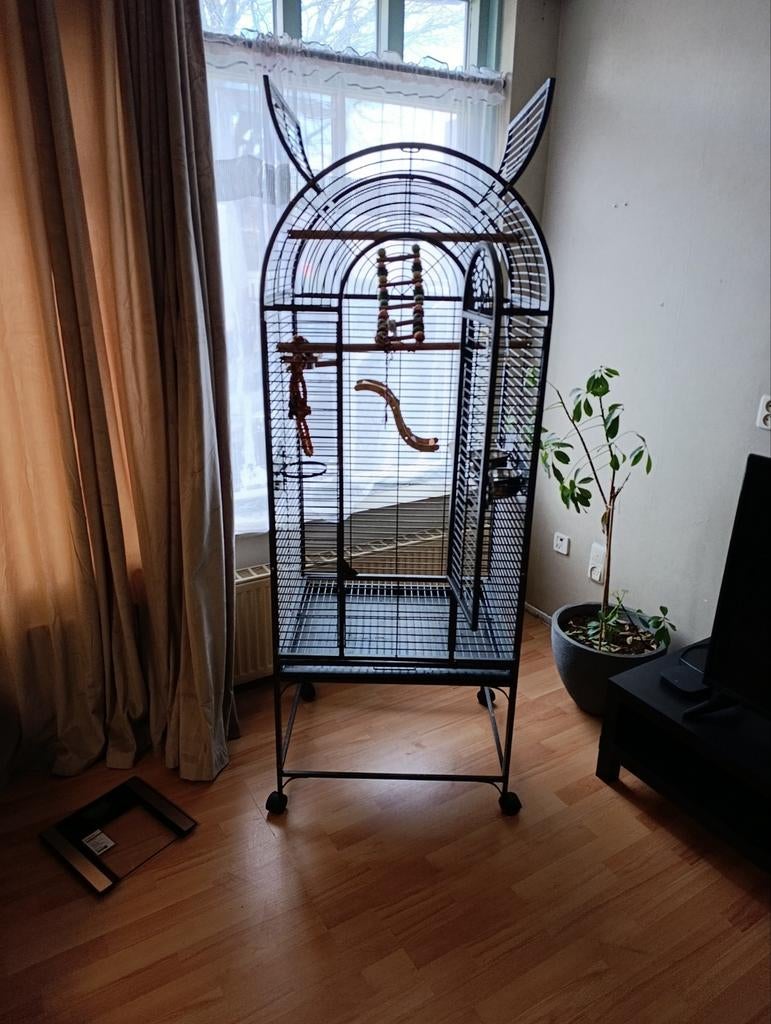 papegaaienkooi, Dieren en Toebehoren, Vogels | Parkieten en Papegaaien, Mannelijk, Papegaai