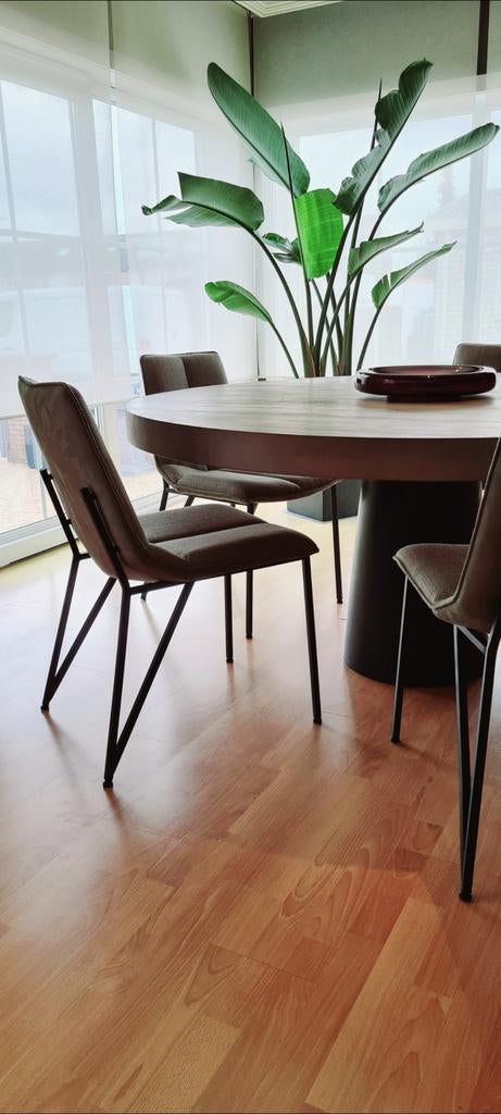 Eetkamerstoelen Xooon, Huis en Inrichting, Stoelen, Ophalen of Verzenden, Zo goed als nieuw