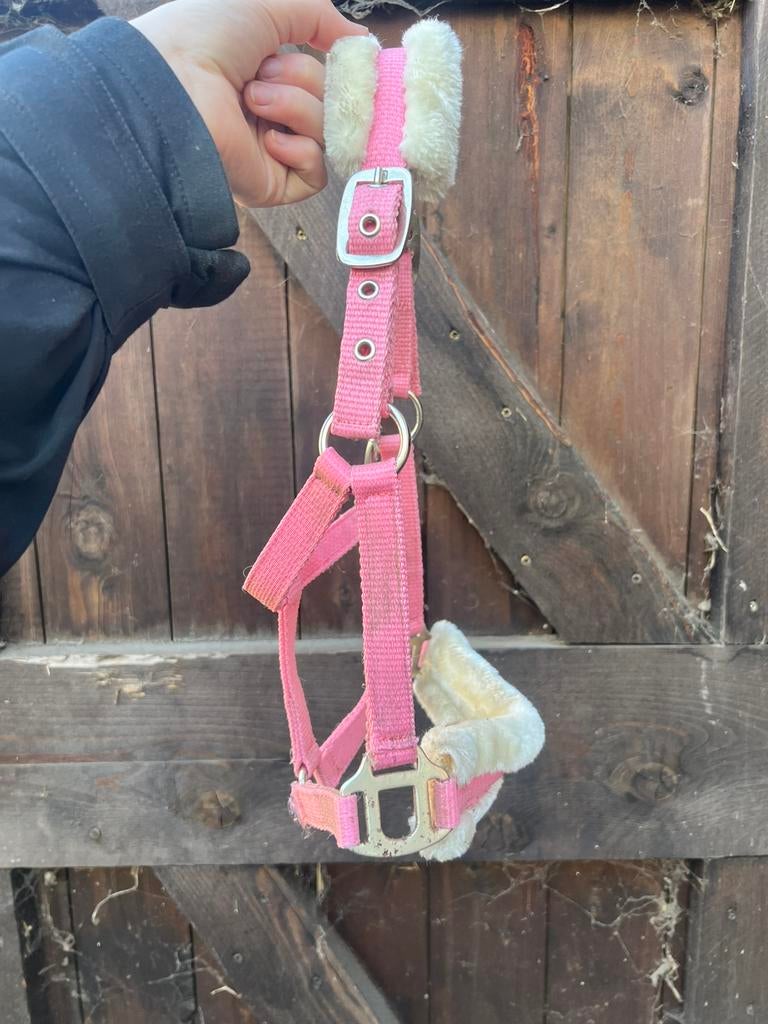 Halsters maat shet, pony en full, Dieren en Toebehoren, Ophalen of Verzenden, Zo goed als nieuw, Overige soorten