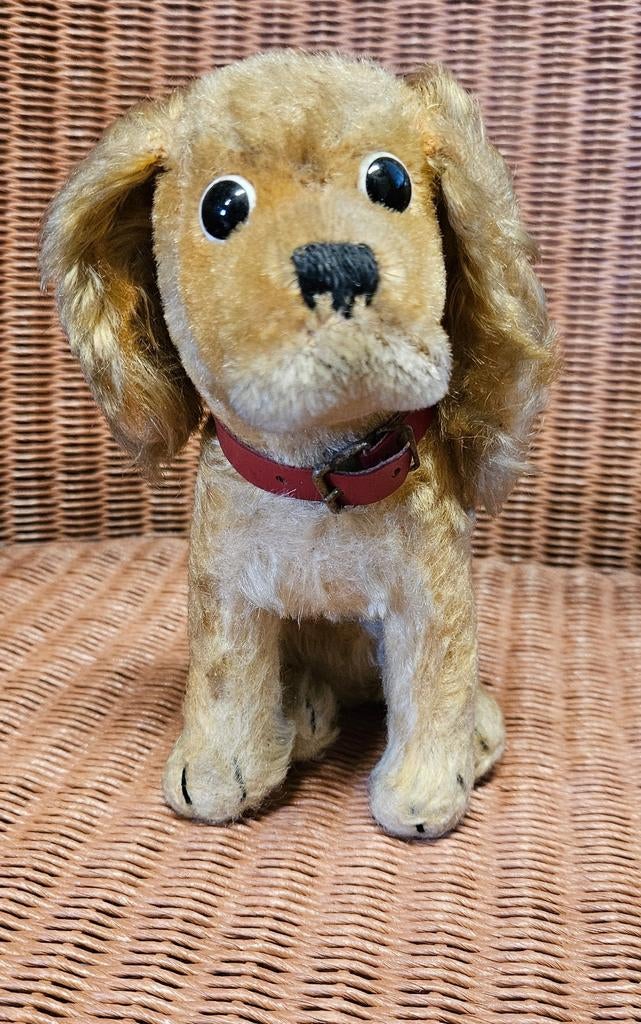 Steiff pluche hond, revue Susi cocker spaniël, vintage, Antiek en Kunst, Antiek | Speelgoed, Ophalen of Verzenden