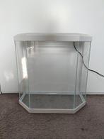 Ciano aquarium 25L – 6-hoekig, wit, LED-verlichting, Ophalen, Zo goed als nieuw, Leeg aquarium