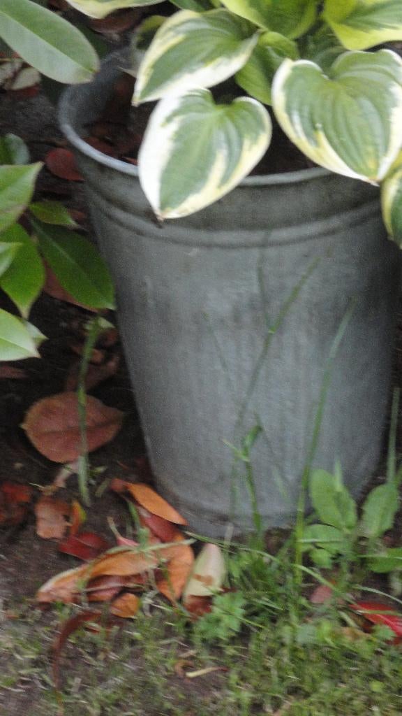 antieke HOGE ZINKEN VAAS/pot voor tuin no. 2, Ophalen of Verzenden