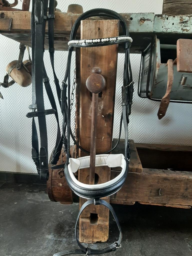 Full hoofdstel wit onderlegd aansnoerriem met teugel., Ophalen of Verzenden
