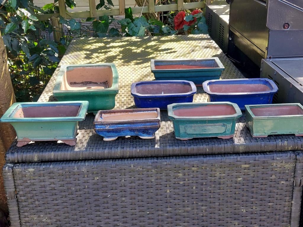 Prachtige bonsai schalen, Ophalen of Verzenden