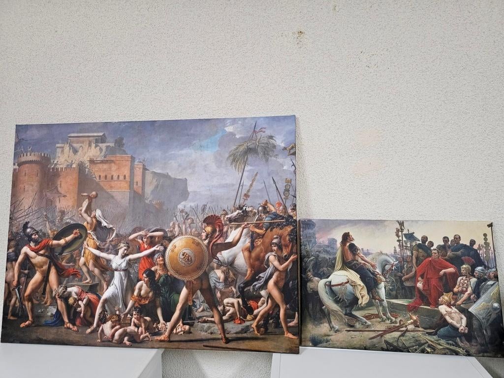 2 mooie canvassen voor €50,-, Ophalen, Minder dan 50 cm, Gebruikt, Minder dan 50 cm