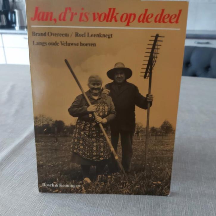 Jan, d'r is volk op de deel - Langs oude Veluwse hoeven, Boeken, Geschiedenis | Vaderland, Gelezen, 20e eeuw of later, Ophalen of Verzenden