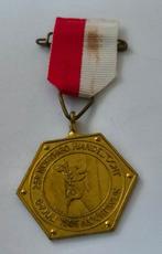 Wandelmedaille 25e Northgo wandeltocht, Ophalen of Verzenden, Overige materialen, Nederland