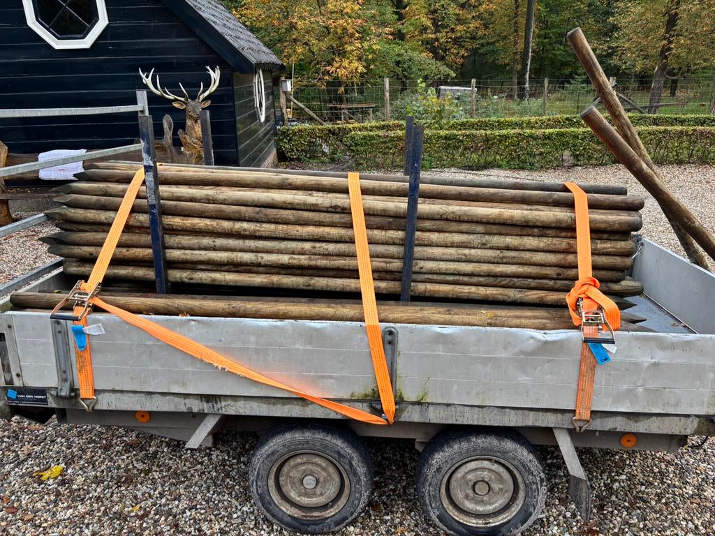 Boompalen, Tuin en Terras, Palen, Balken en Planken, Ophalen, Zo goed als nieuw, 250 cm of meer, Palen