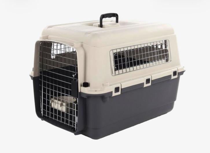 Transportbox IATA  (M) *nieuw*, Dieren en Toebehoren, Transportboxen, Nieuw, Ophalen of Verzenden