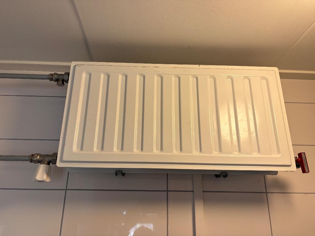 Radiatoren, Doe-het-zelf en Verbouw, Verwarming en Radiatoren, Ophalen, 30 tot 80 cm, Gebruikt, Radiator