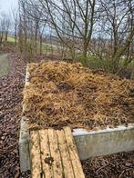 Gratis stalmest, Tuin en Terras, Aarde en Mest, Ophalen of Verzenden, Tuinaarde