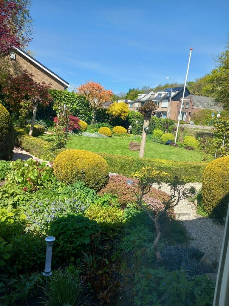 Gezocht: tuinman/ hulp in de tuin, Ophalen