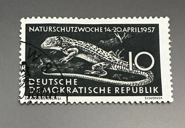 DDR 1957 Dieren Reptielen Postzegel Gestempeld, Ophalen of Verzenden, DDR, Gestempeld