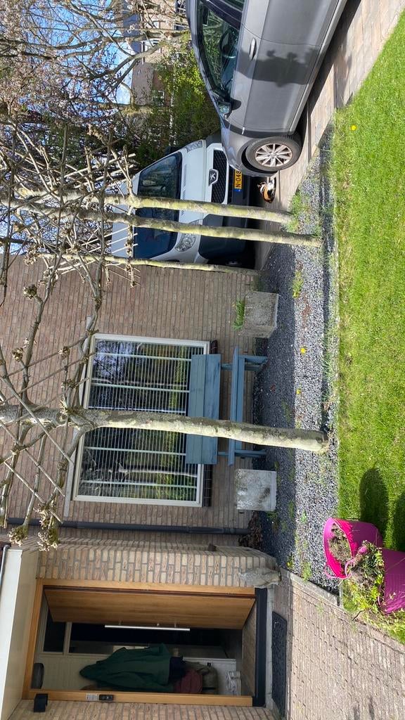 Gratis Ardenner split grijs, Ophalen, Zo goed als nieuw, Overige typen, Minder dan 2 meter