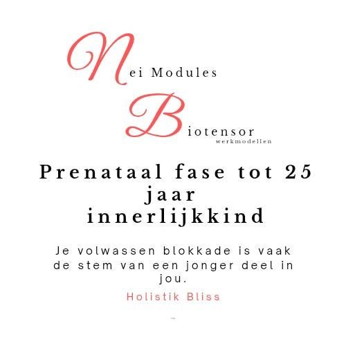 Biotensor & pendel nei-modellen, Ophalen of Verzenden