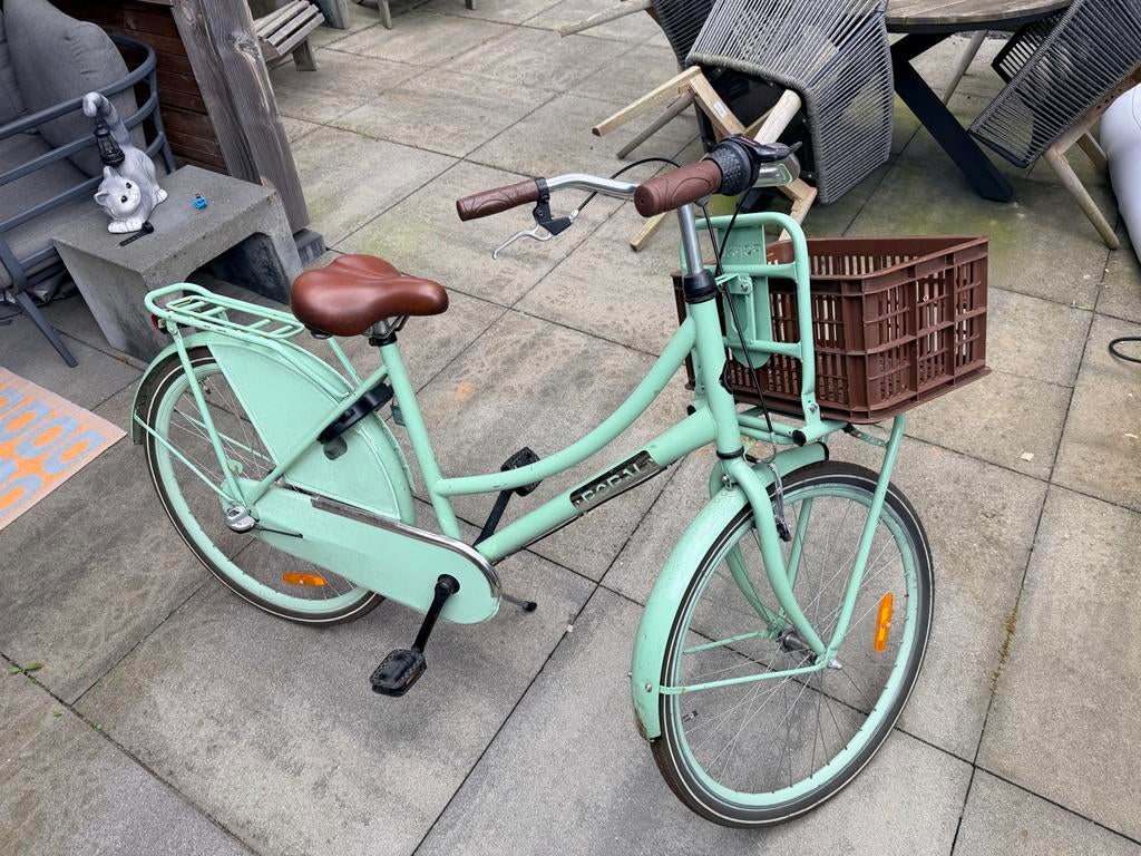 Popal Daily Dutch Basic fiets met krat - Mintgroen, Terugtraprem, Gebruikt, Versnellingen, 50 tot 53 cm