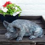 beeld kune varken, Ophalen