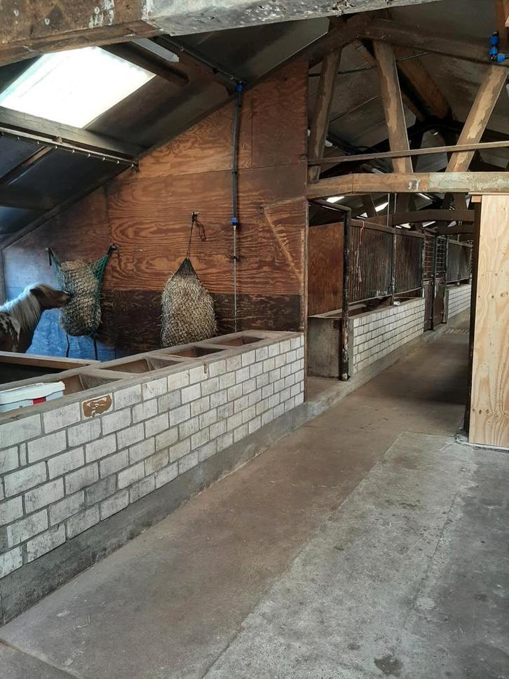 Stalling aangeboden, Dieren en Toebehoren, Stalling en Weidegang, Stalling, 4 paarden of pony's of meer
