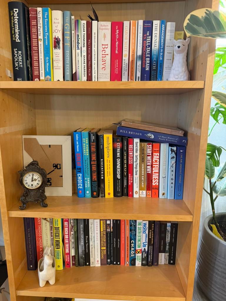 english books for sale, Ophalen, Zo goed als nieuw, 25 tot 50 cm, Minder dan 100 cm