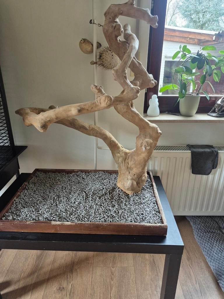 Javaboom tafel model XL java, Dieren en Toebehoren, Ophalen of Verzenden