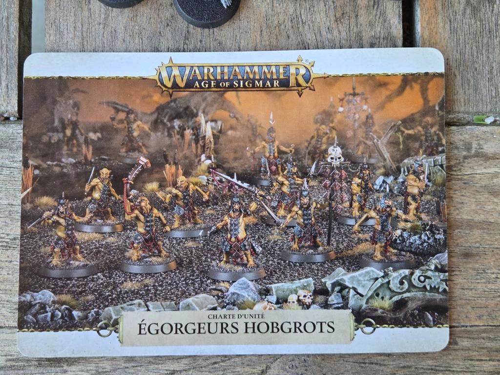 Warhammer Age of Sigmar Orruk Warclans Hobgrots, Gebruikt, Figuurtje(s), Warhammer, Ophalen of Verzenden