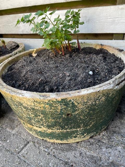 vintage lavet gebruikt als plantenbak is vorst bestendig, Gebruikt, Minder dan 30 cm, Rond, Ophalen of Verzenden