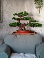 kunstboom Bonsai style-, Ophalen of Verzenden, Zo goed als nieuw, Binnen