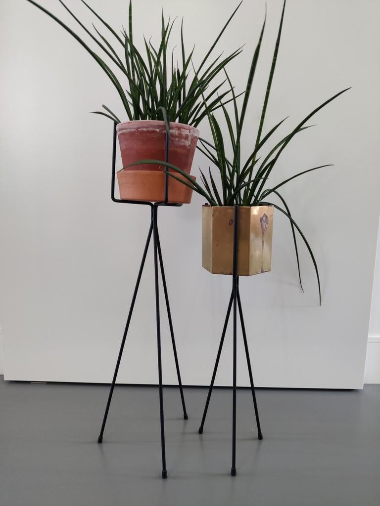 Ferm Living plant stands inclusief plantenpotten en planten, Tuin en Terras, Bloembakken en Plantenbakken, Ophalen of Verzenden