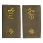 Rangen set Korps/Regiments adjudant Parka DT2000, Ophalen of Verzenden, Landmacht, Nederland, Embleem of Badge