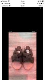 Slippers, Kleding | Dames, Schoenen, Ophalen, Zo goed als nieuw, Groen, Slippers