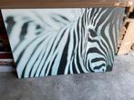IKEA PJÄTTERYD Canvas Zebra 78x118 cm, Ophalen, 100 tot 125 cm, 75 cm of meer, Print
