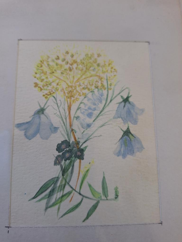 Aquarel van natuurlijke bloemen - ingelijst of los, Antiek en Kunst, Kunst | Tekeningen en Foto's, Ophalen of Verzenden