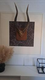 Gewei, Ophalen, Gebruikt, Hert, Gewei of Kop