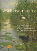 Wat is natuur nog? 24 schoolwandplaten M.A. Koekkoek, Ophalen of Verzenden, Gelezen