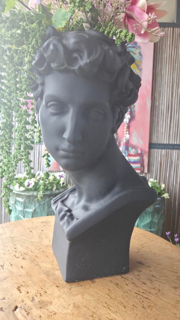 Decoratieve Davidshoofd, Huis en Inrichting, Woonaccessoires | Vazen, Zo goed als nieuw, Zwart, 50 tot 75 cm, Aardewerk of Porselein