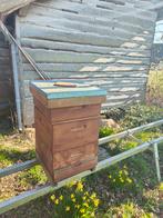 Red cedar bijenkast, Bijen