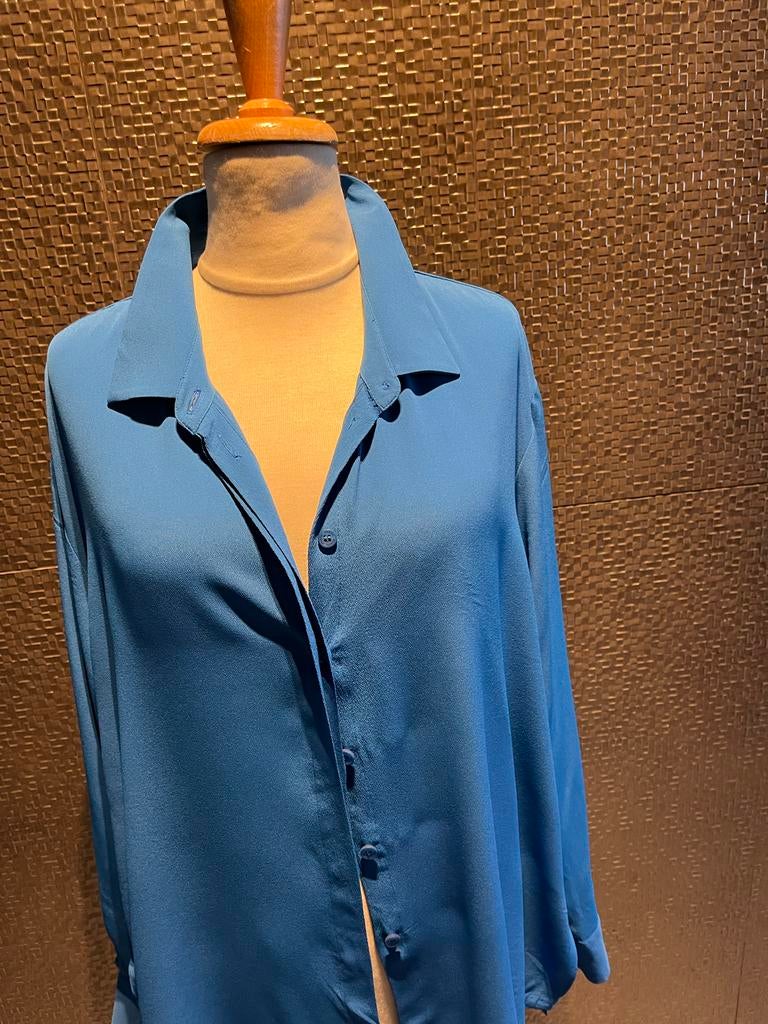 Riani Zijden Blouse Maat 46, Ophalen of Verzenden, Zo goed als nieuw, Maat 46/48 (XL) of groter, Blauw